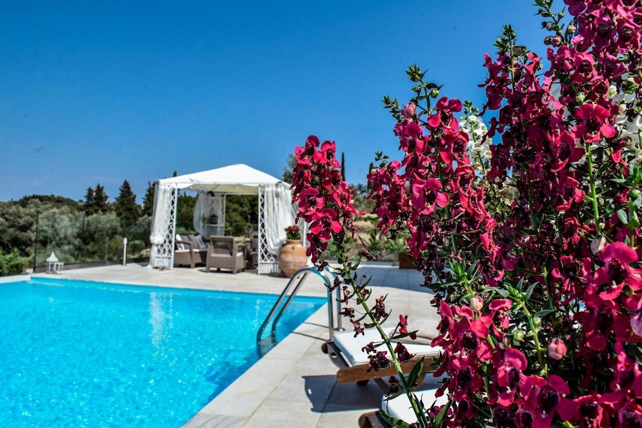Noulia Villa *